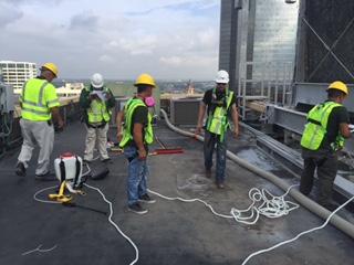 wildlife x team on roof of commeciral building